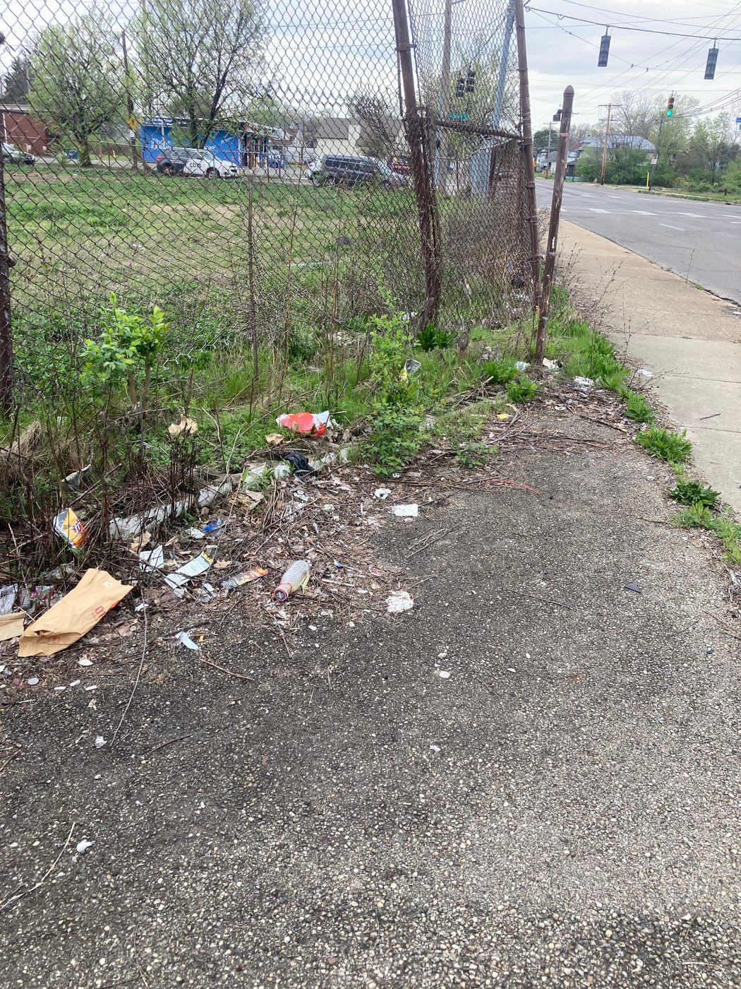 Before — litter along the fenceline