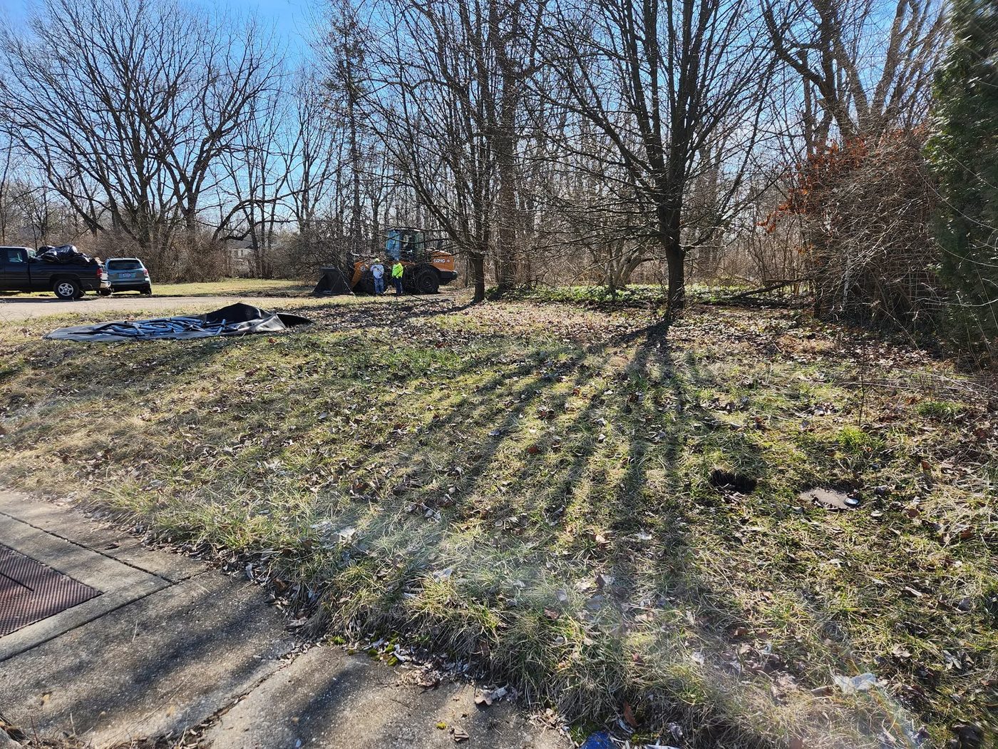 After — cleaned to the tree line