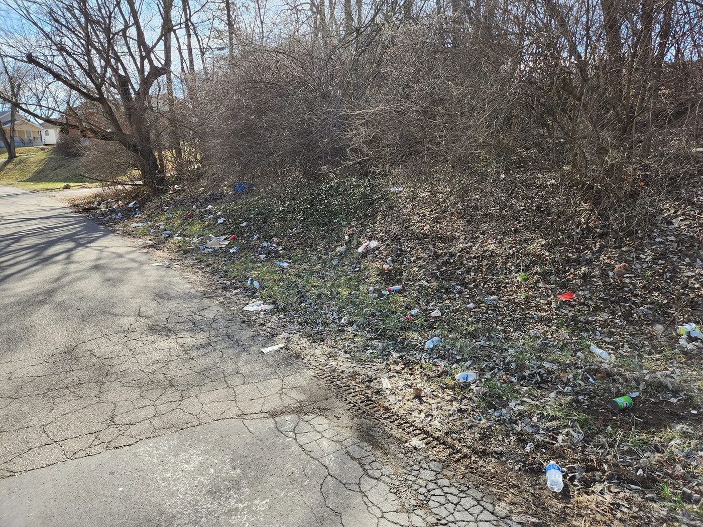 Before — an overgrown, littered lot