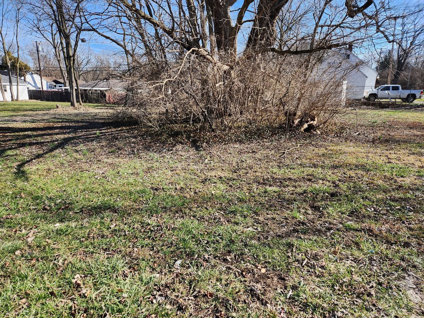 After — bare, clean ground